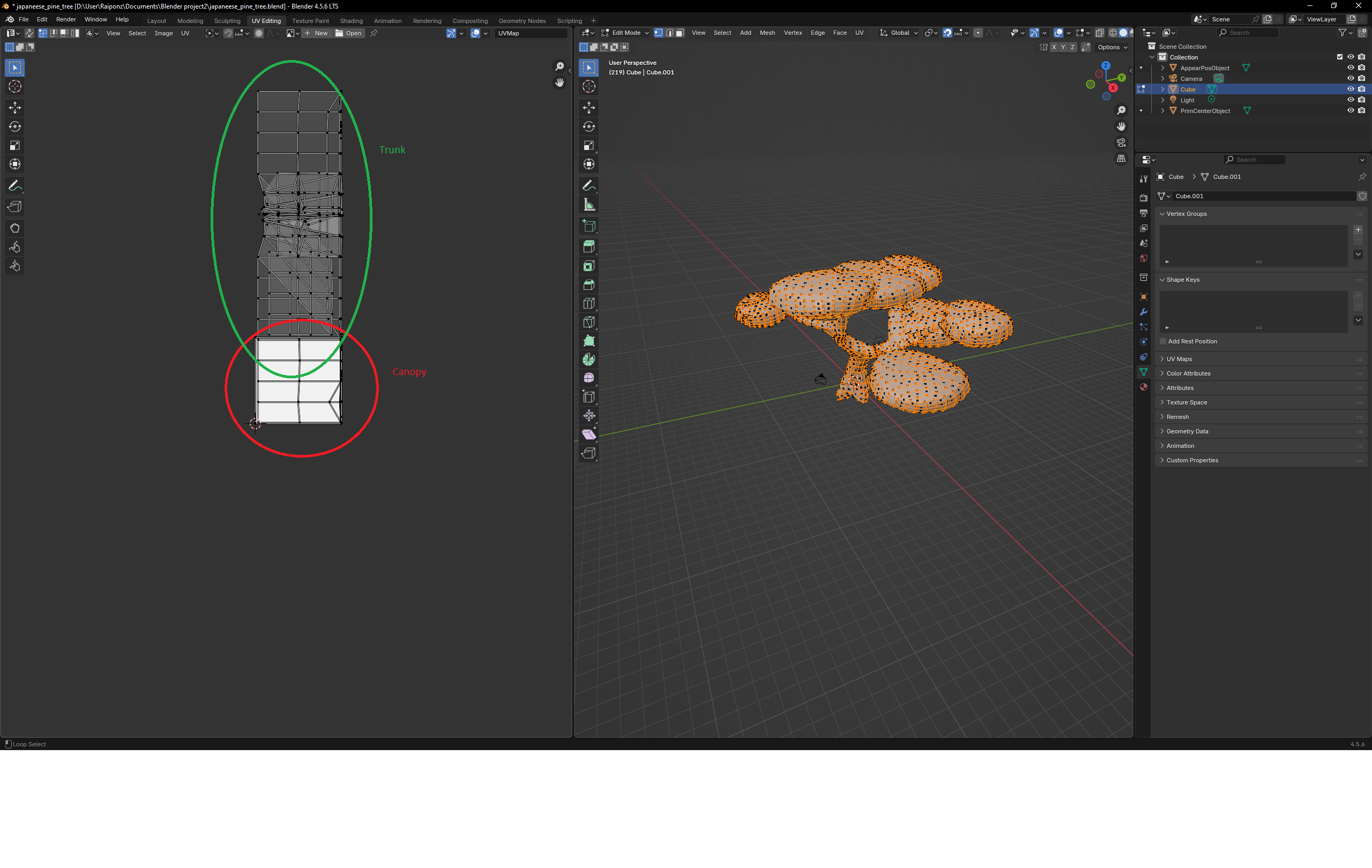 Tree colour encoding